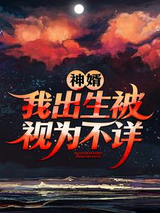 《陈言陈黄皮叶青山叶红鱼》小说