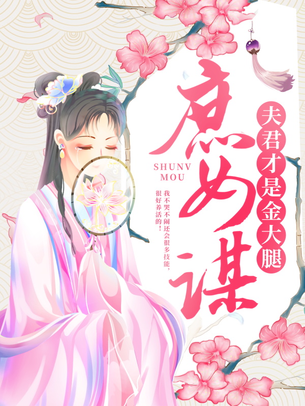 《顾铮王庶娘顾鸿永赵元澈》小说