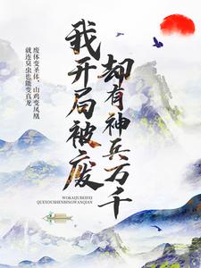 《林风》小说