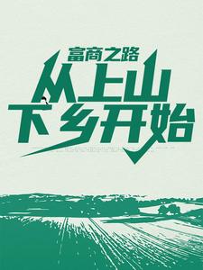 《富商之路：从上山下乡开始》叶昊