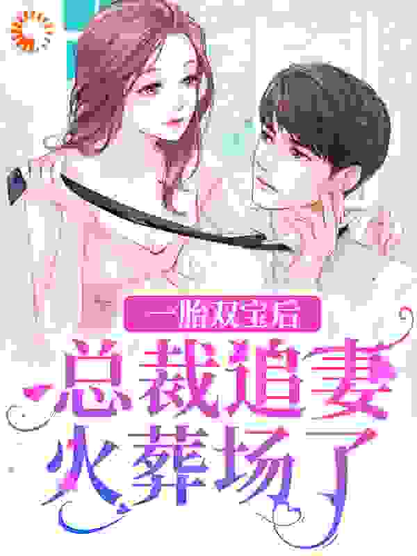 《一胎双宝后，总裁追妻火葬场了顾言澈宋薇暖许景淮沈玥》顾言澈宋薇暖许景淮沈玥