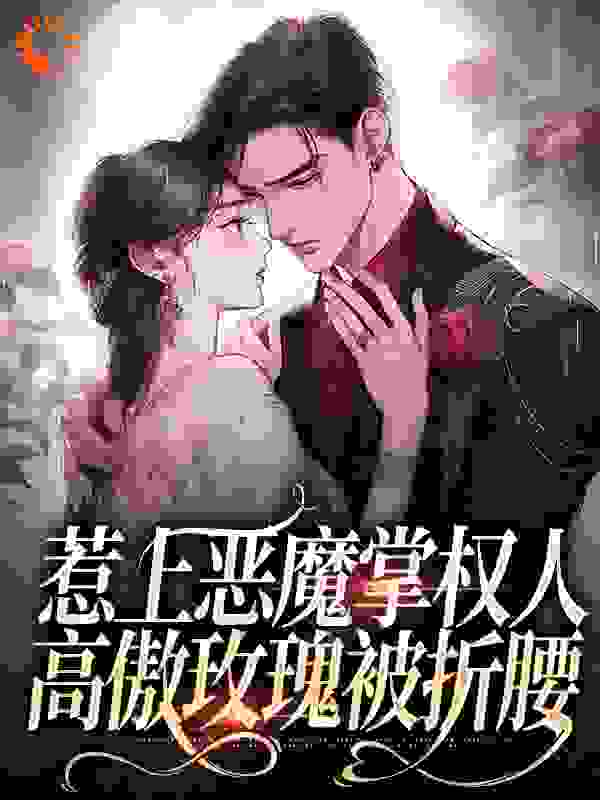 《林岁穗林菁菁裴晏张婉禾》小说