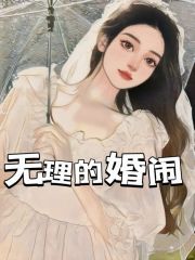 《秦观李贸小薇新娘》小说