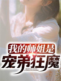 《陈秋苏婉儿苗坤包庆》小说