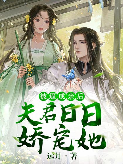 《银狼师傅师姐天狼老人》小说