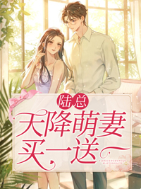 《安琪林婉书陆珺彦弟弟》小说